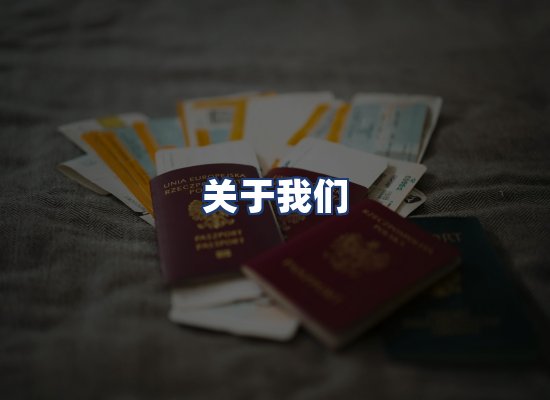 关于我们